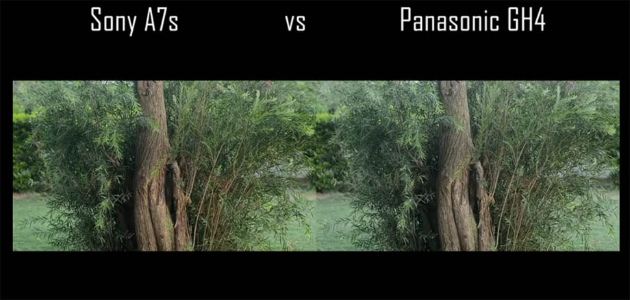 Illustration de la focalisation Sony A7s vs Panasonic GH4